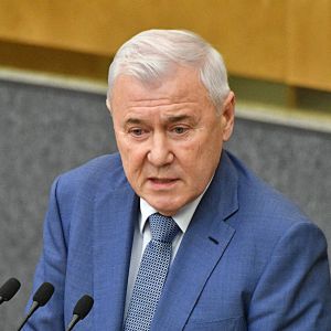 Анатолий Аксаков предложил увеличить сумму предоставления налогового вычета