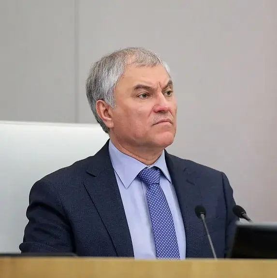 Володин предложил установить дифференцированную ипотечную ставку в регионах