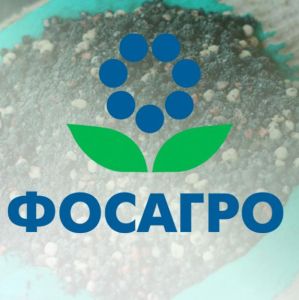 Чистая прибыль "Фосагро" в первом квартале выросла в 2,5 раза