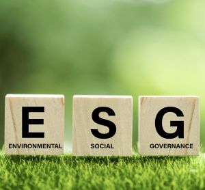 ESG с социальным уклоном: в компании возвращается интерес к устойчивому развитию