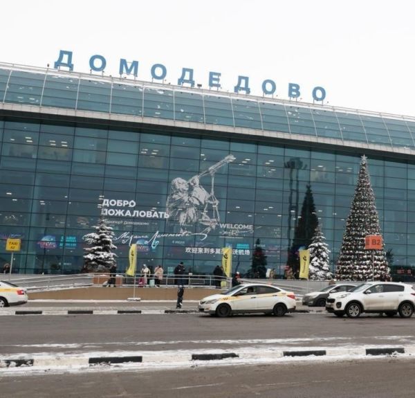 Олег Дерипаска назвал реальную стоимость аэропорта «Домодедово»