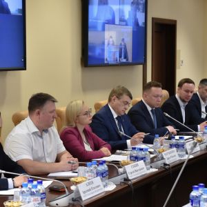Председатель Комитета по продовольственному рынку Делового Совета ЕАЭС выступил на семинаре ЕЭК по сотрудничеству с Ираном